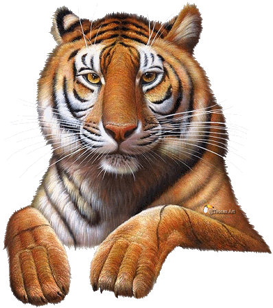 tigris_39.png