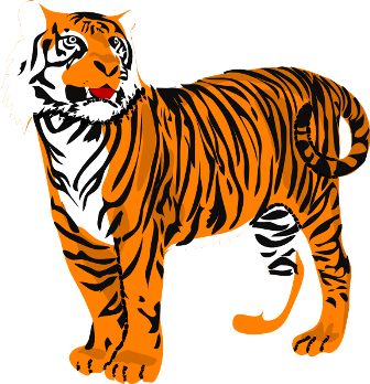 tigris_4.png