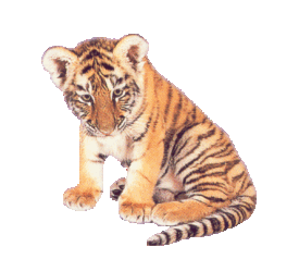 tigris_63.gif