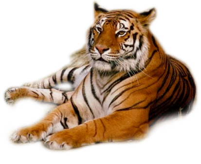 tigris_68.png