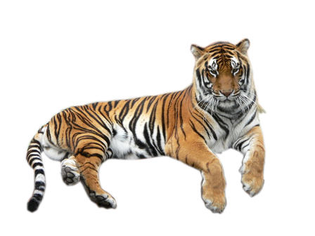 tigris_72.png