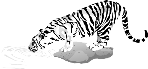 tigris_79.png