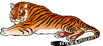 tigris_81.gif