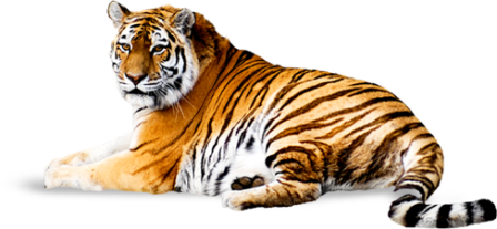 tigris_9.png