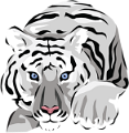 tigris_1