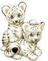 tigris_18