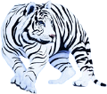 tigris_195
