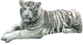 tigris_243