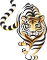 tigris_265