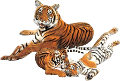 tigris_27