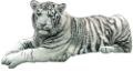 tigris_283