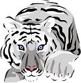 tigris_316
