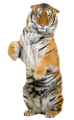 tigris_339