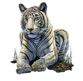 tigris_342
