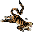 tigris_358