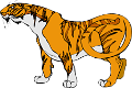 tigris_6