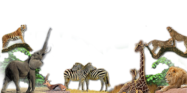 vadallatok_12.png