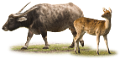 vadallatok_6