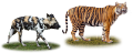 vadallatok_8