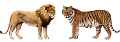 vadallatok_9