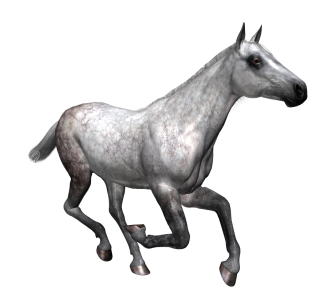 vadlo_100.png