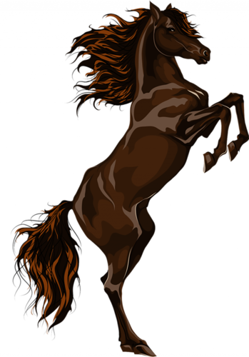 vadlo_1004.png