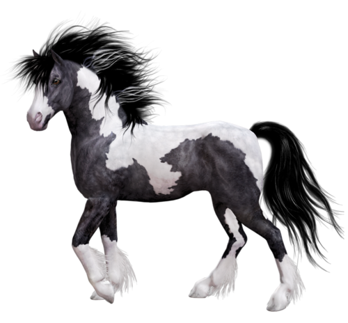 vadlo_1006.png