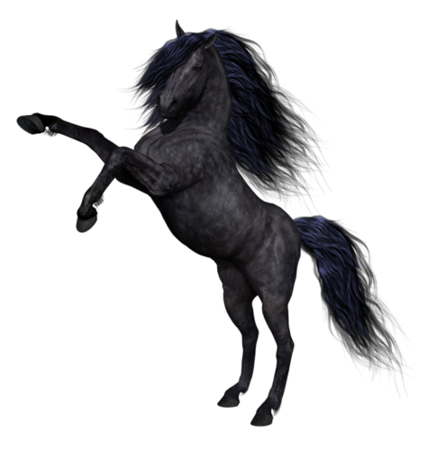 vadlo_1009.png