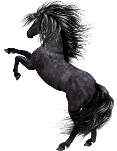 vadlo_1014.png