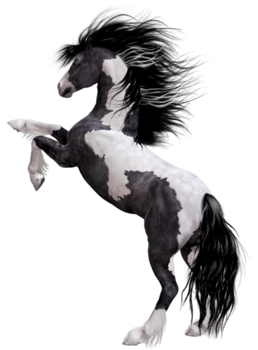 vadlo_1015.png