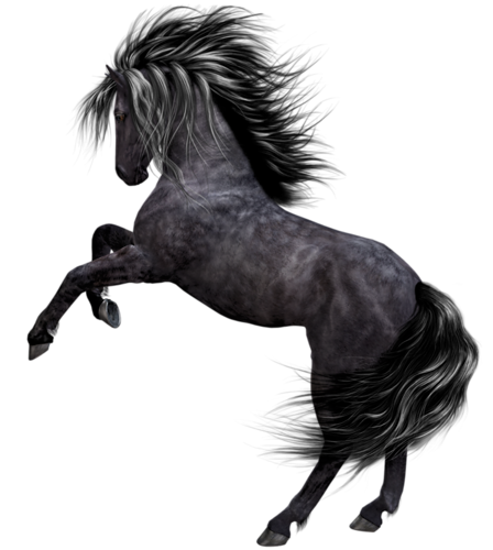 vadlo_1016.png