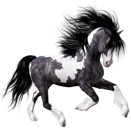 vadlo_1019.png