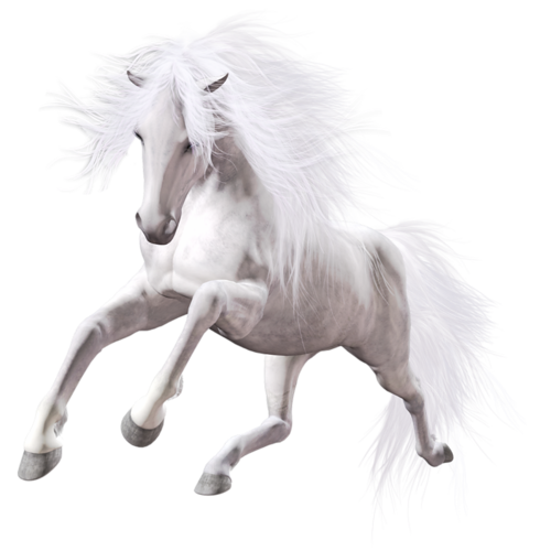 vadlo_1020.png