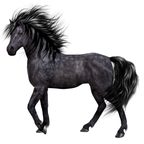 vadlo_1022.png