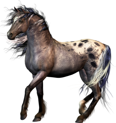 vadlo_1024.png