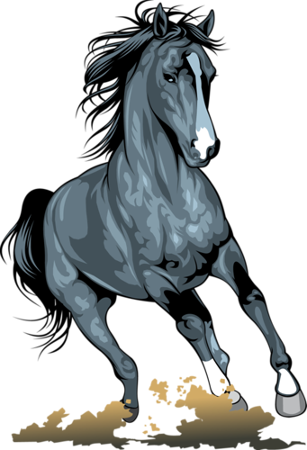 vadlo_1027.png