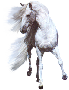 vadlo_1034.png