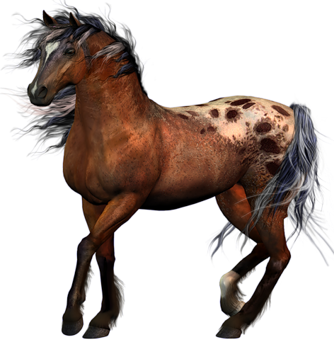 vadlo_1035.png