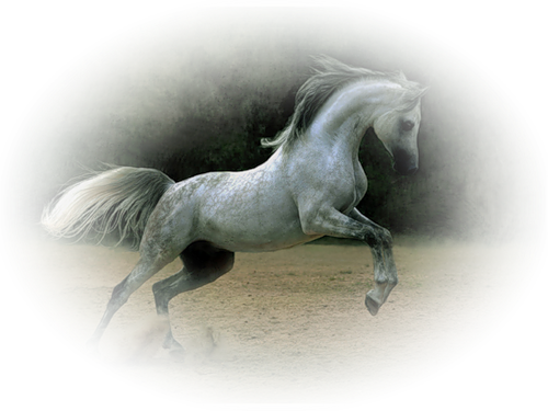vadlo_1044.png