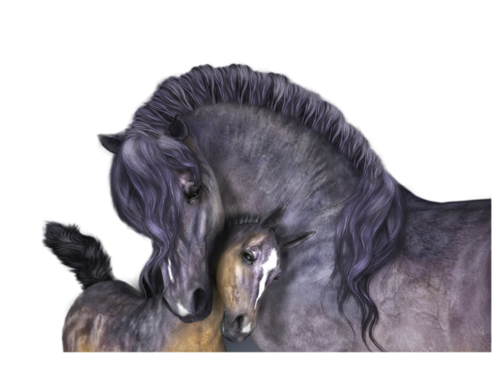 vadlo_1045.png