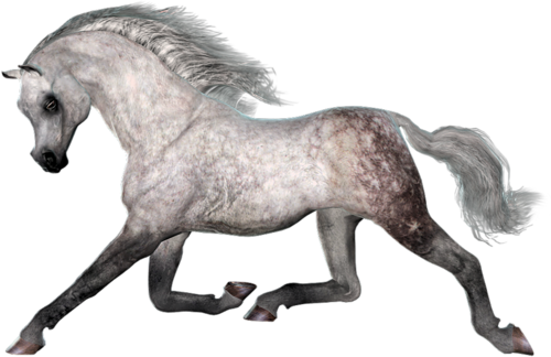 vadlo_106.png