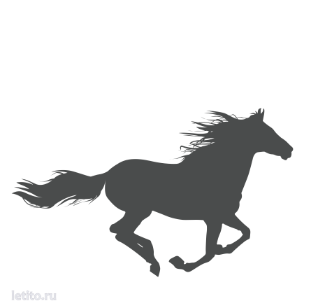 vadlo_1070.png