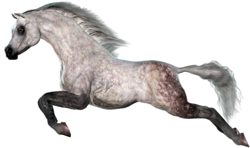 vadlo_108.png