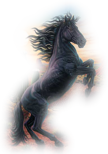 vadlo_1088.png