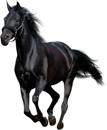 vadlo_1096.png