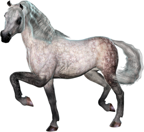 vadlo_110.png
