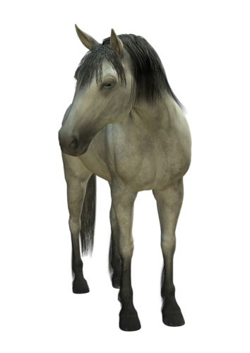 vadlo_112.png