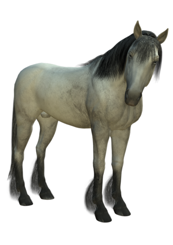 vadlo_114.png