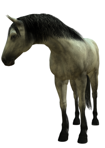 vadlo_115.png