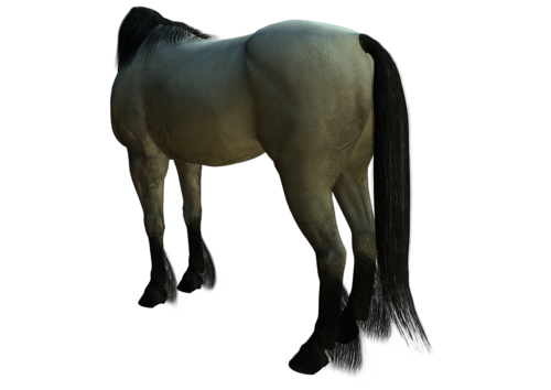vadlo_116.png